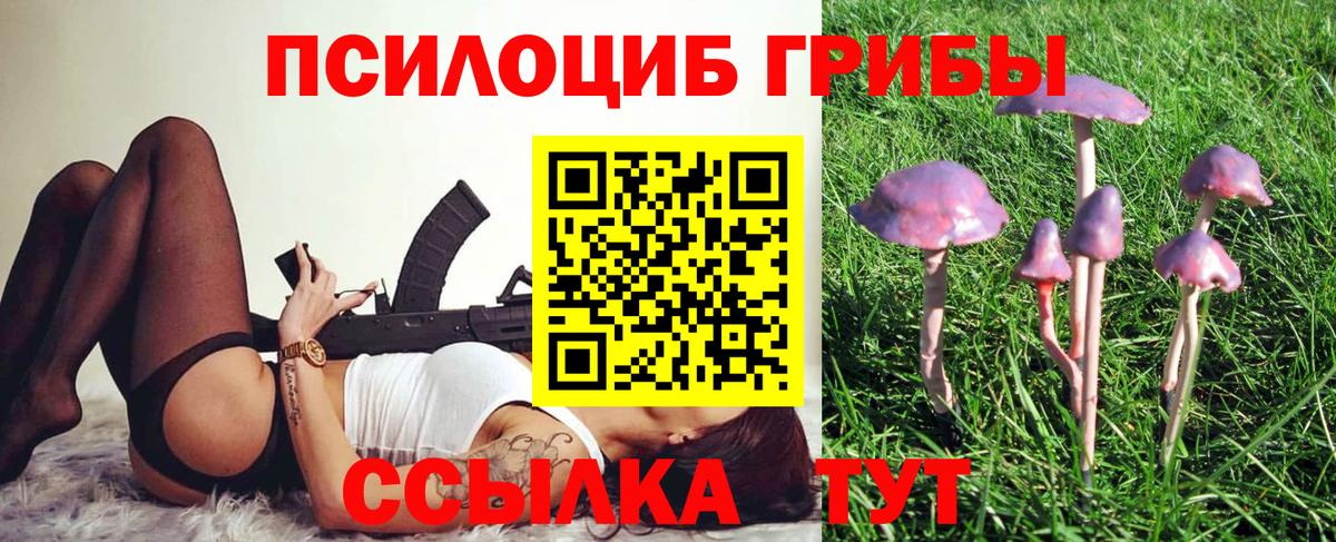 Псилоцибиновые грибы Psilocybine cubensis  Галлюциногенные грибы Psilocybine cubensis  Вход с VPN  Кинель 