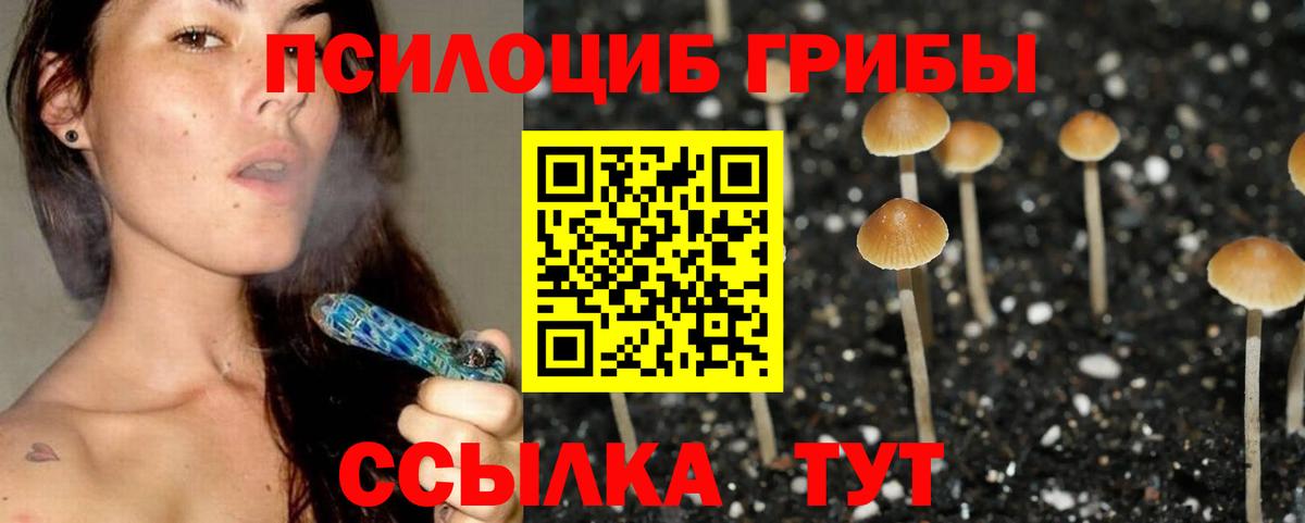 Галлюциногенные грибы Psilocybine cubensis Кинель