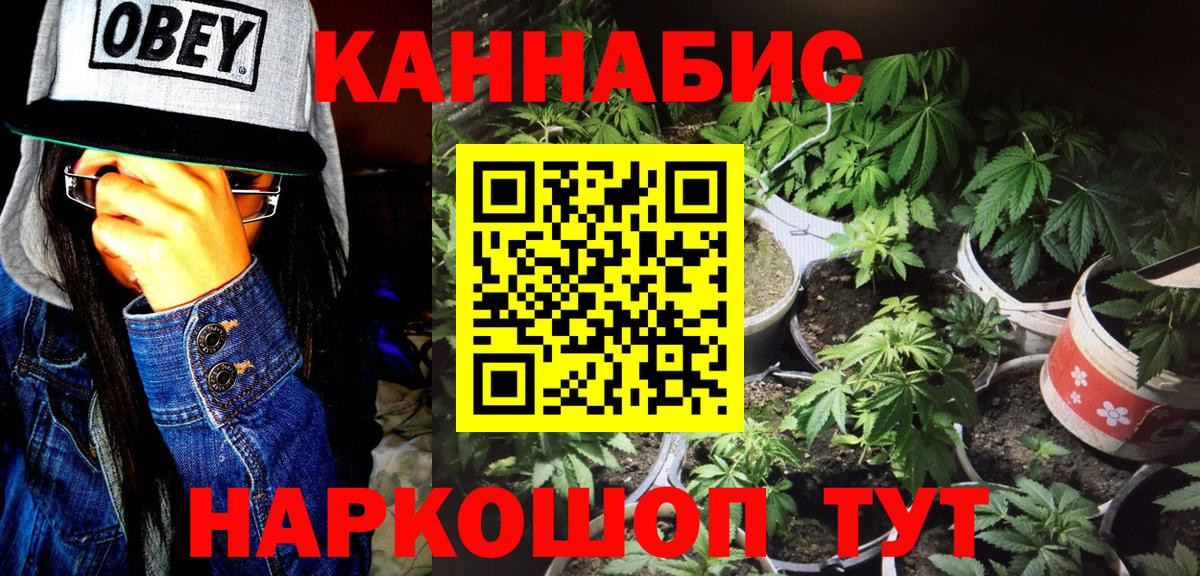 Бошки марихуана семена  Вход с VPN  МАРИХУАНА ГИДРОПОН  Бошки марихуана ГИДРОПОН  Кинель 